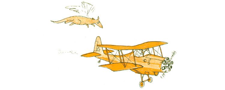Иллюстрация Томи Унгерера к книге «Аделаида. Крылататя кенгуру»