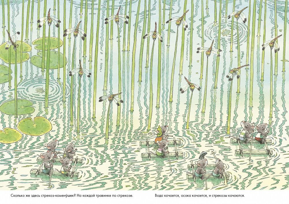 14 лесных мышей. Стрекозиный пруд