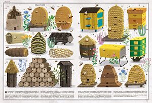 Жужжим про пчёл, знакомимся с живыми пчёлками и устраиваем фотосессию в костюме пасечника с Ксенией Смирновой