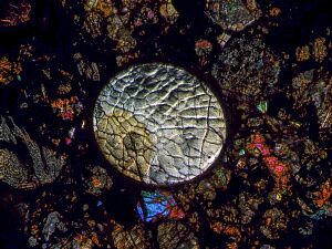 Научный клуб исследует метеориты и открывает все грани внеземного при помощи микроскопов