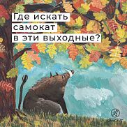 Где искать «Самокат» на выходных?
