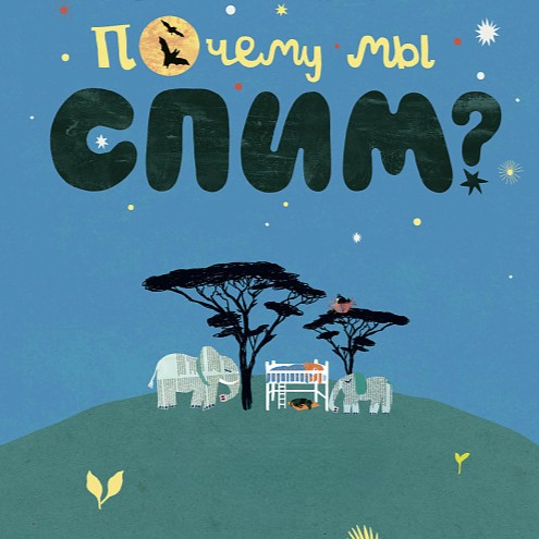 Научный клуб с биологом Валей: почему мы спим?