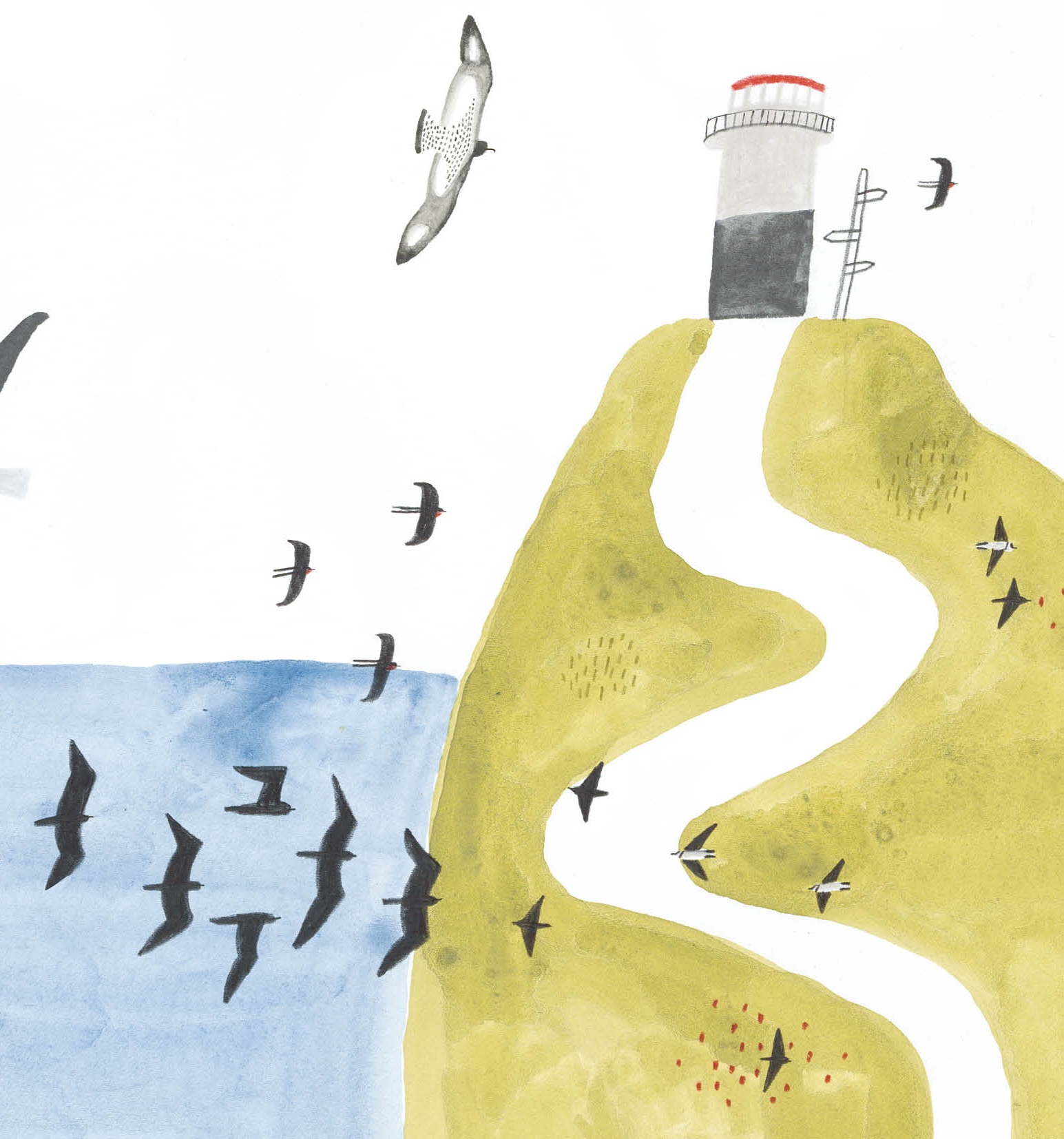 Превращаемся в орнитологов и создаём собственную стаю птиц!