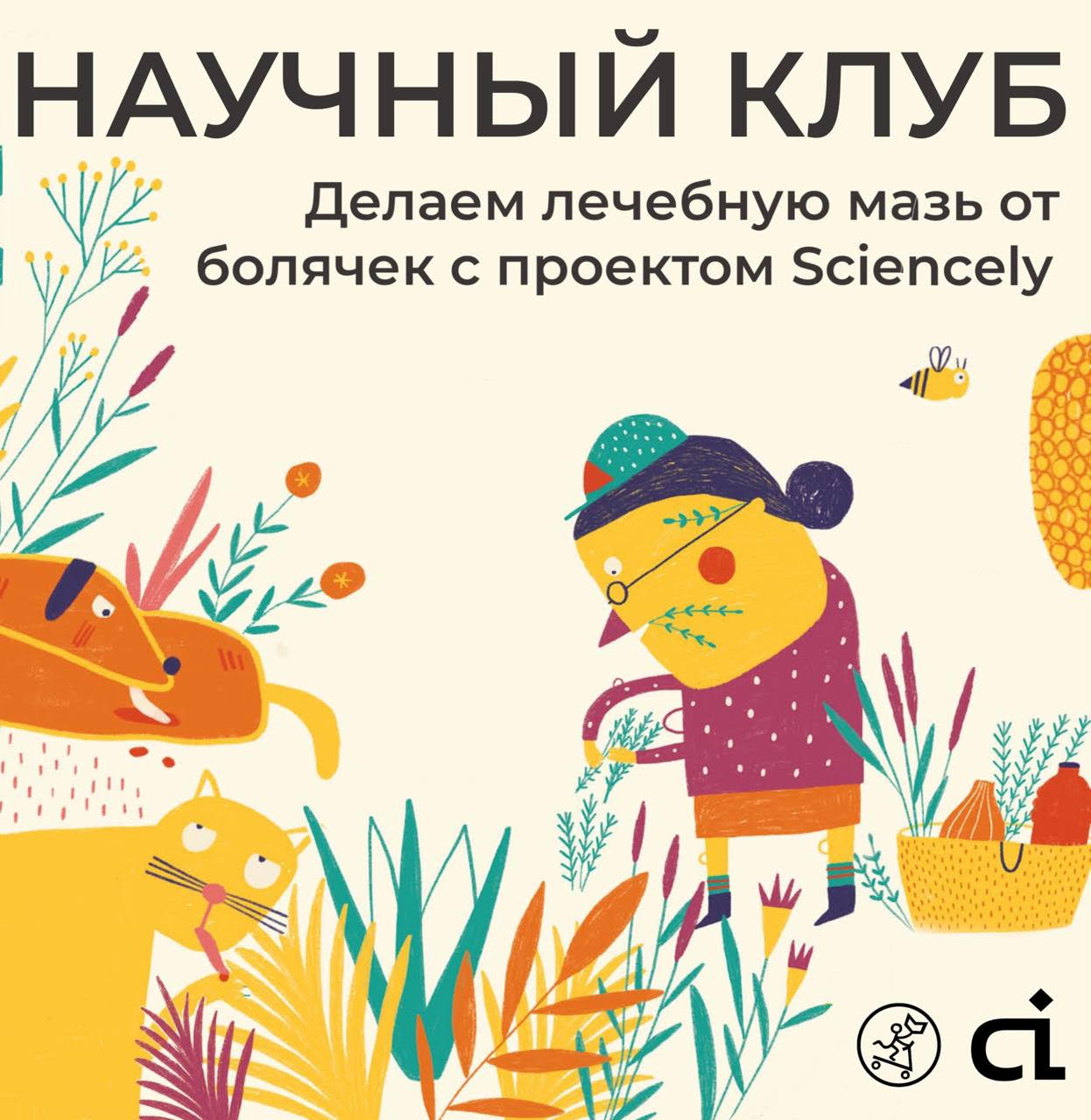 Научный клуб с проектом Sciencely: делаем лечебную мазь от болячек!