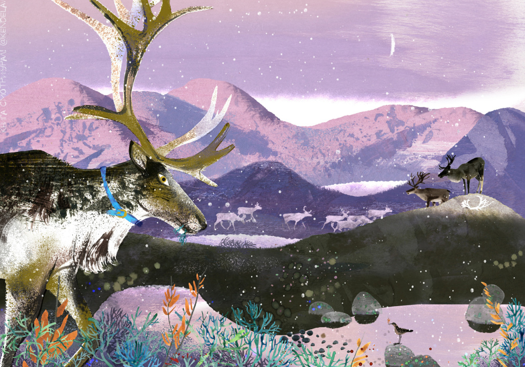 Смотри Урал Шмутц. Полярные олени.jpg