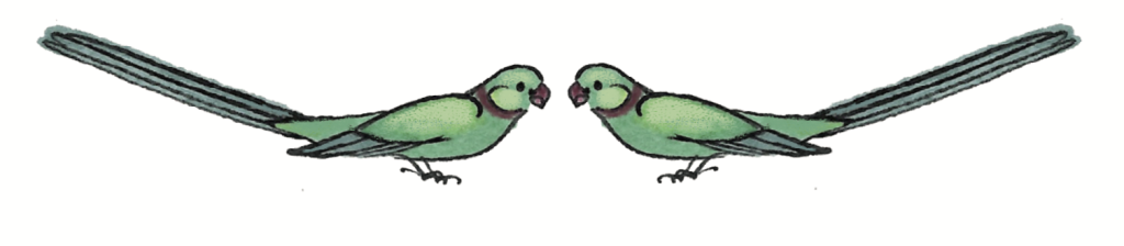 12.png