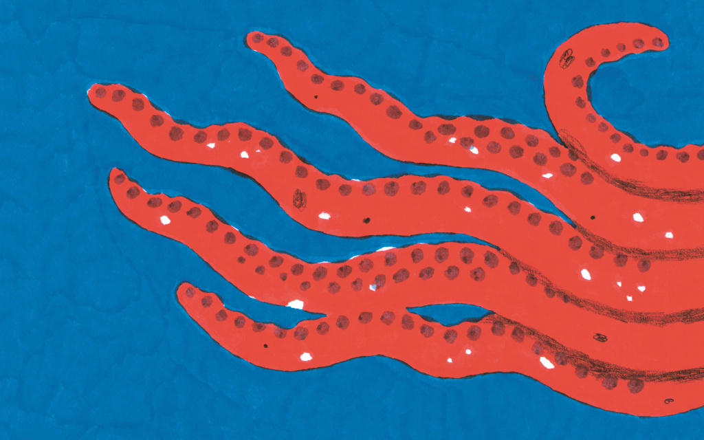 Octopus37.jpg Octopus37.jpg