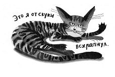 Книжный клуб. Обсуждаем книги «Кот прямо с неба» и «У кота была собака»