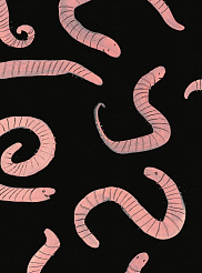 Создаём собственный мини-театр в коробке с героями книги «Сегодня я расскажу вам об анаконде».