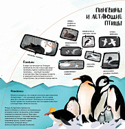 Научный клуб для малышей отмечает Всемирный день пингвинов!