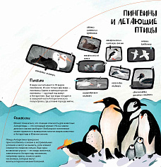 Научный клуб для малышей отмечает Всемирный день пингвинов!