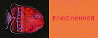 Сегодня я такая…