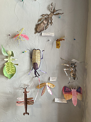 Творческая мастерская создаёт объемных бабочек, мотыльков и других насекомых!