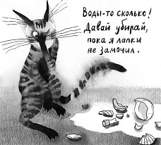 Авторы на Самокате! Кот прямо с неба! Презентация, мастер-класс, автограф-сессия с Анастасией Шанской и художницей Екатериной Сафро.