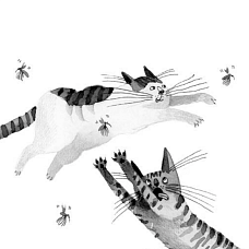 «По кошачьим следам»: День кошек с Funky Jam!