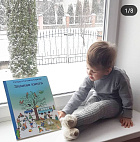 Зимняя книга