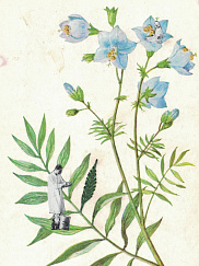 Коллажная мастерская с Верой Лазуренко. Создаём ботанический коллаж по книге «Белая книга садоводства»