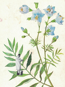 Коллажная мастерская с Верой Лазуренко. Создаём ботанический коллаж по книге «Белая книга садоводства»